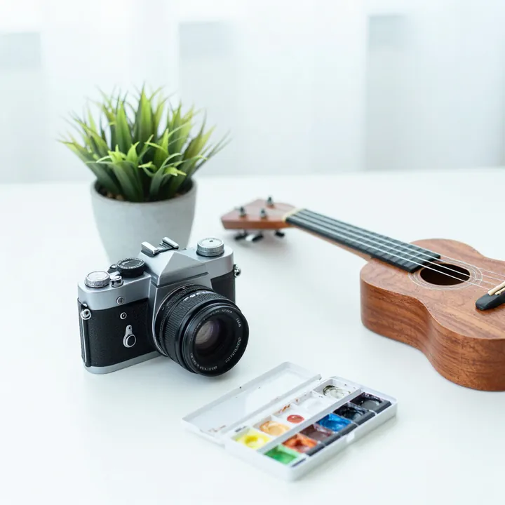 A camera, a ukulele, a plant and a watercolour palette